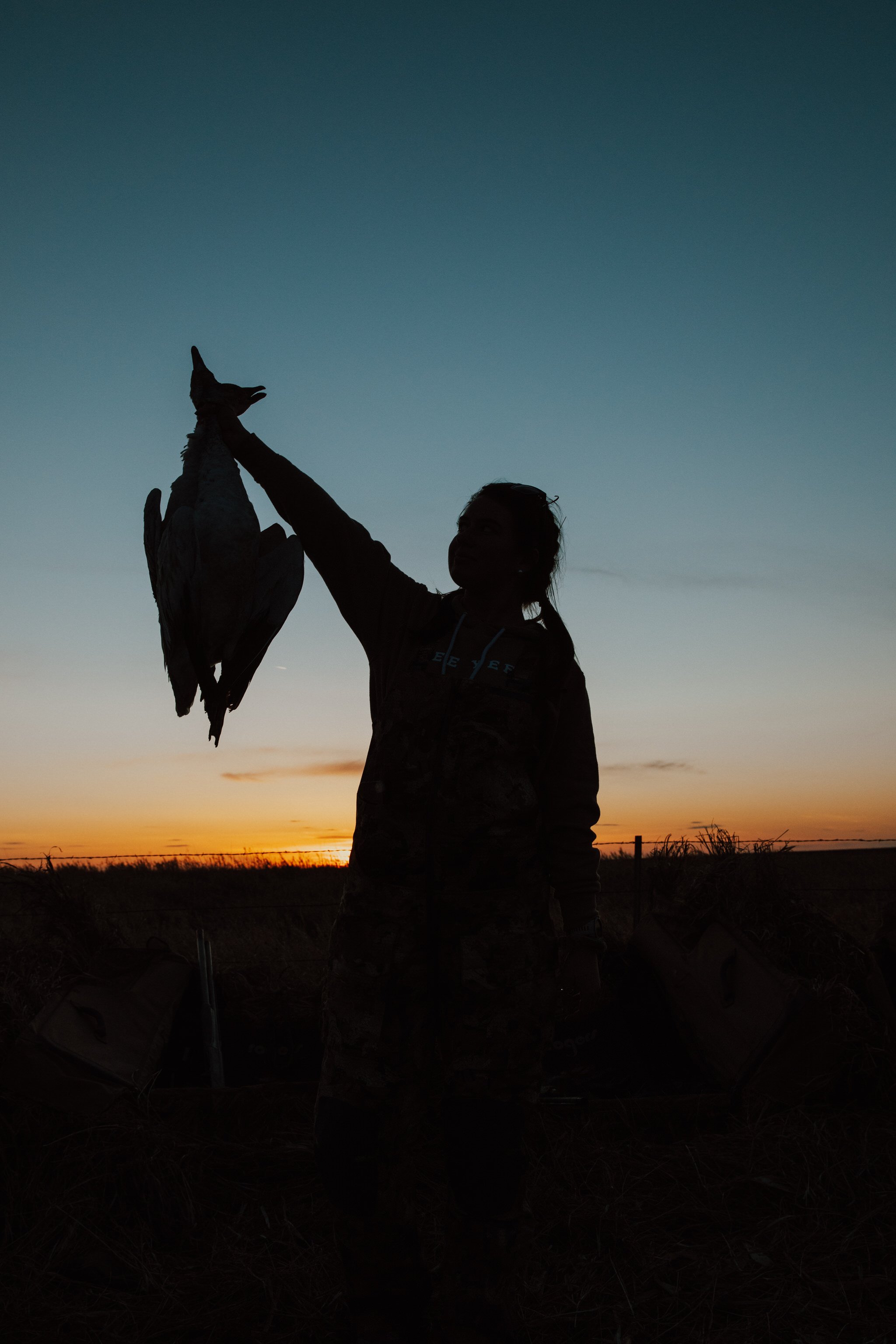 SOUTHDAKOTASNOWGOOSE78.jpg