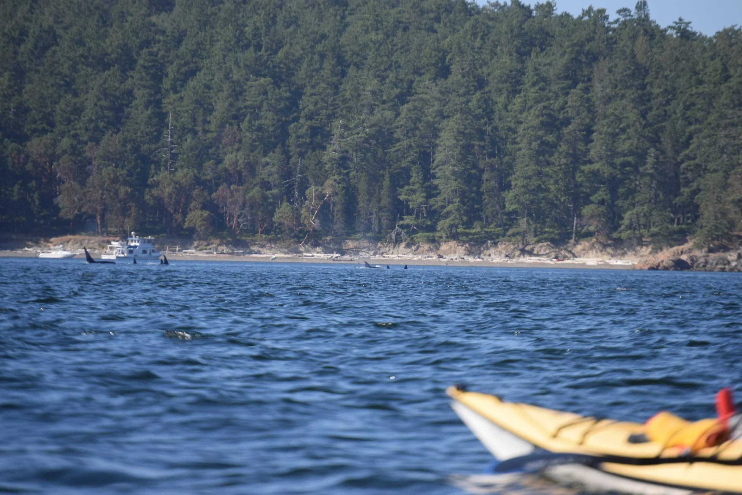 Copy of DSC_6940.JPG