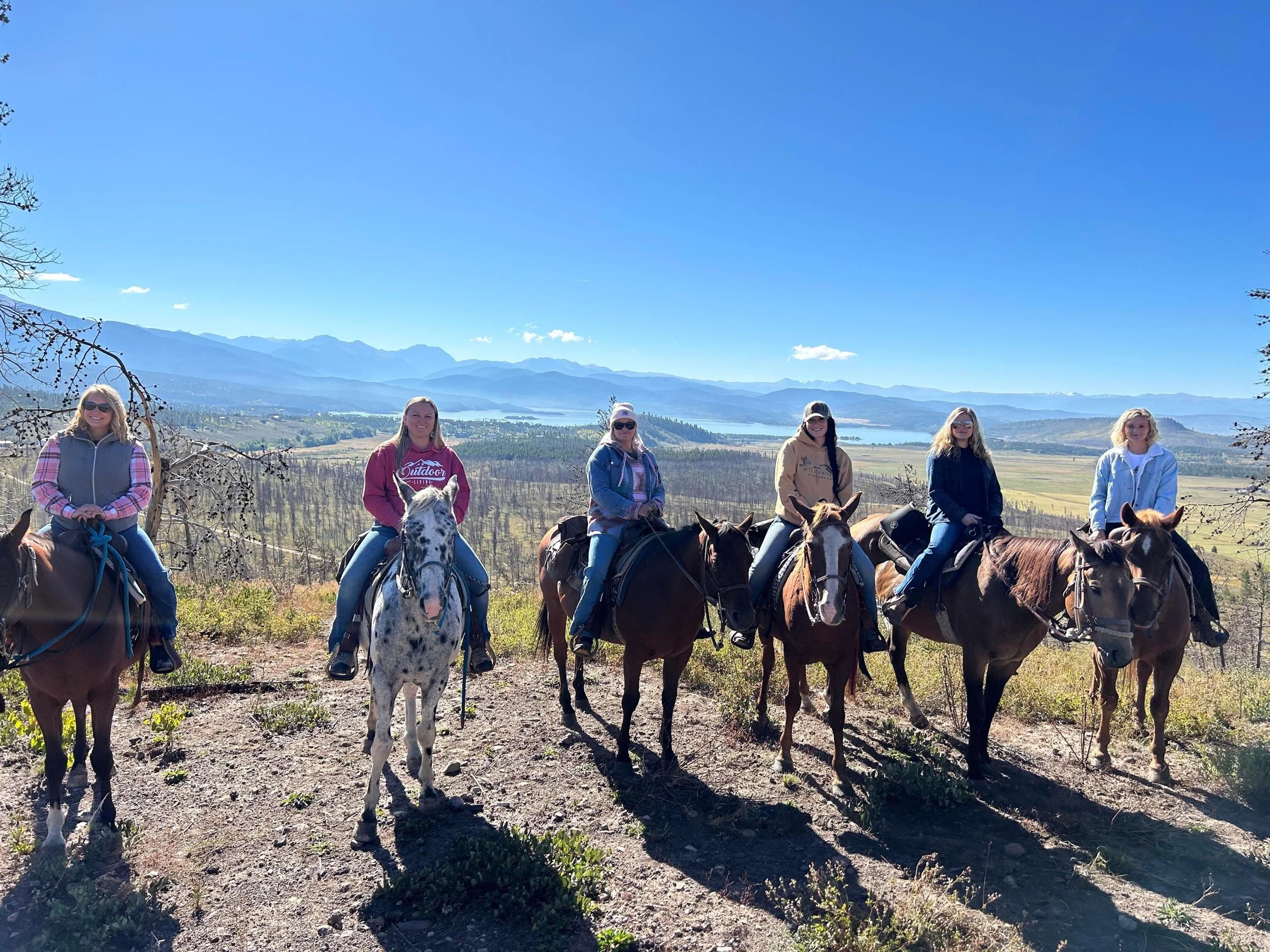 image_6483441 (28).JPG