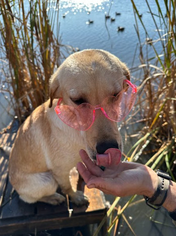 Screenshot 2023-10-25 12.04.26 PM.png