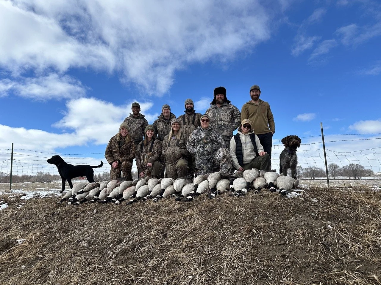 Copy of IMG_1655 Large.jpeg