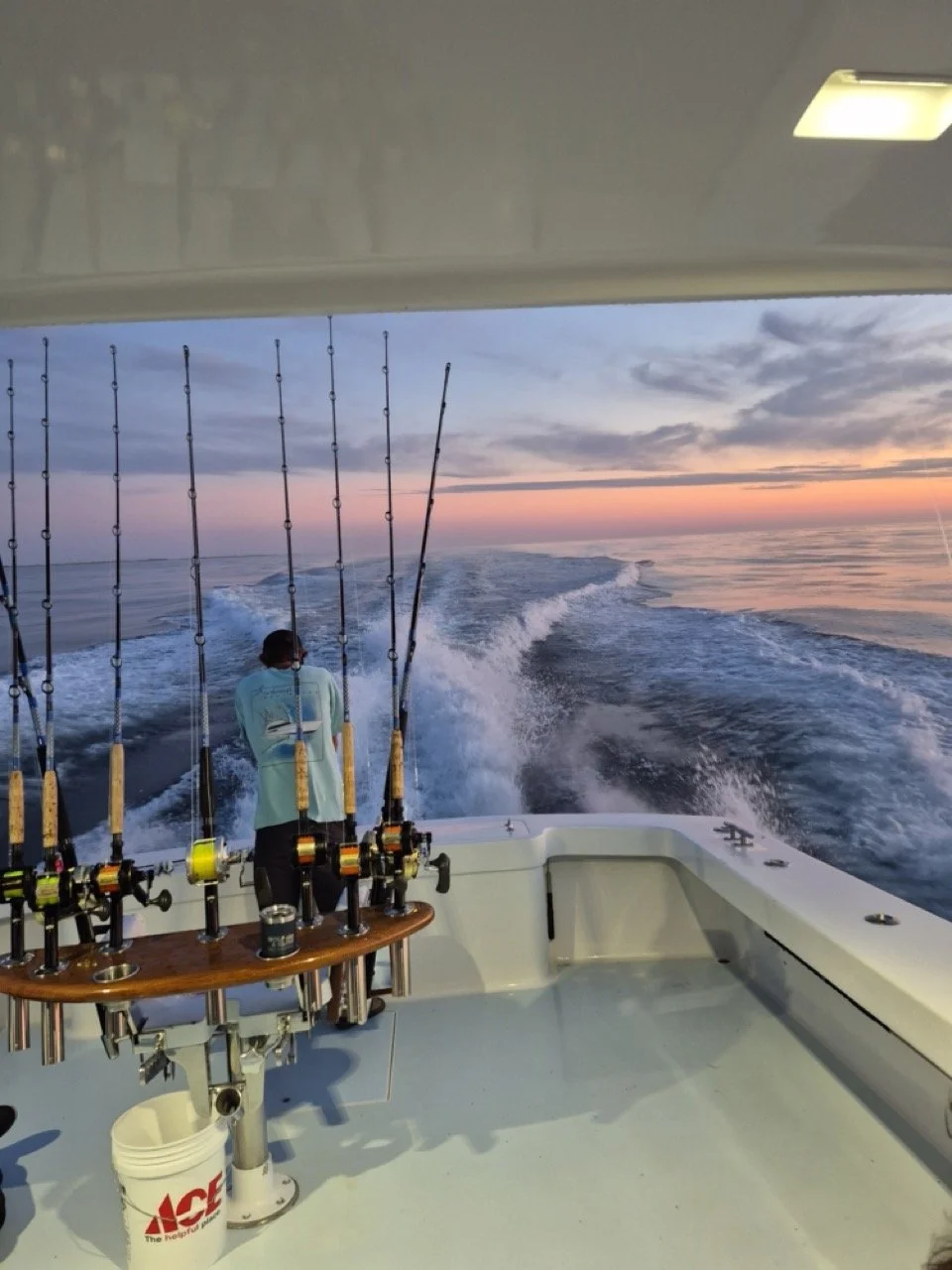 20250621_053206 Large.jpeg