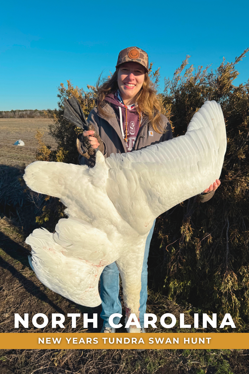 NORTH CAROLINA NEW YEARS SWAN HUNT 
