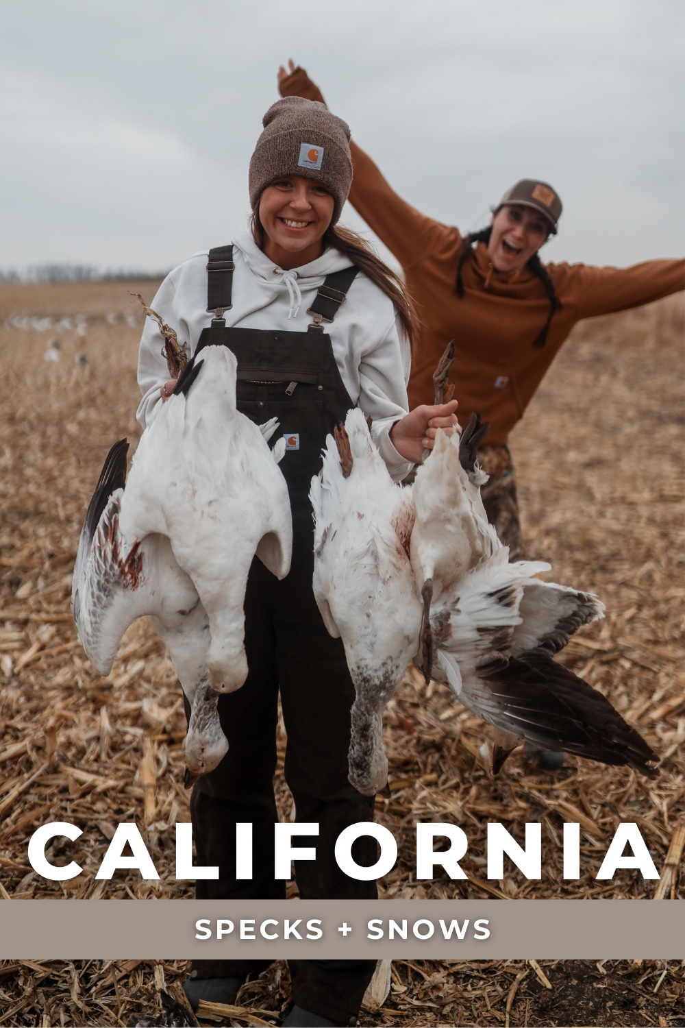 CALIFORNIA SPECKS + SNOWS