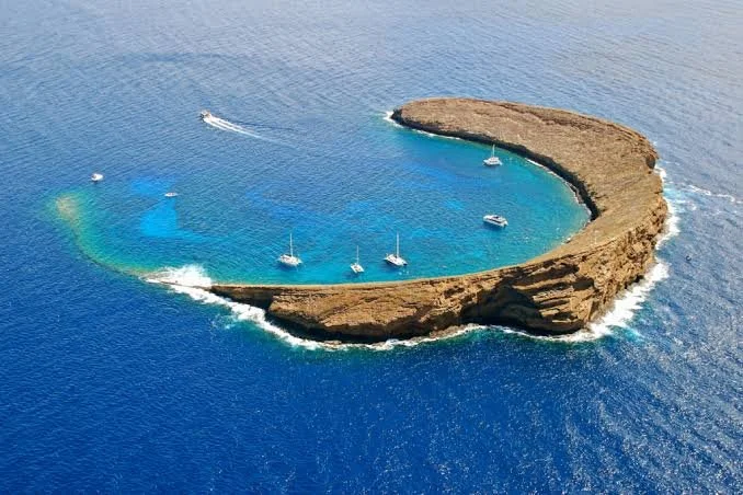 Molokini Snorkeling.jpg