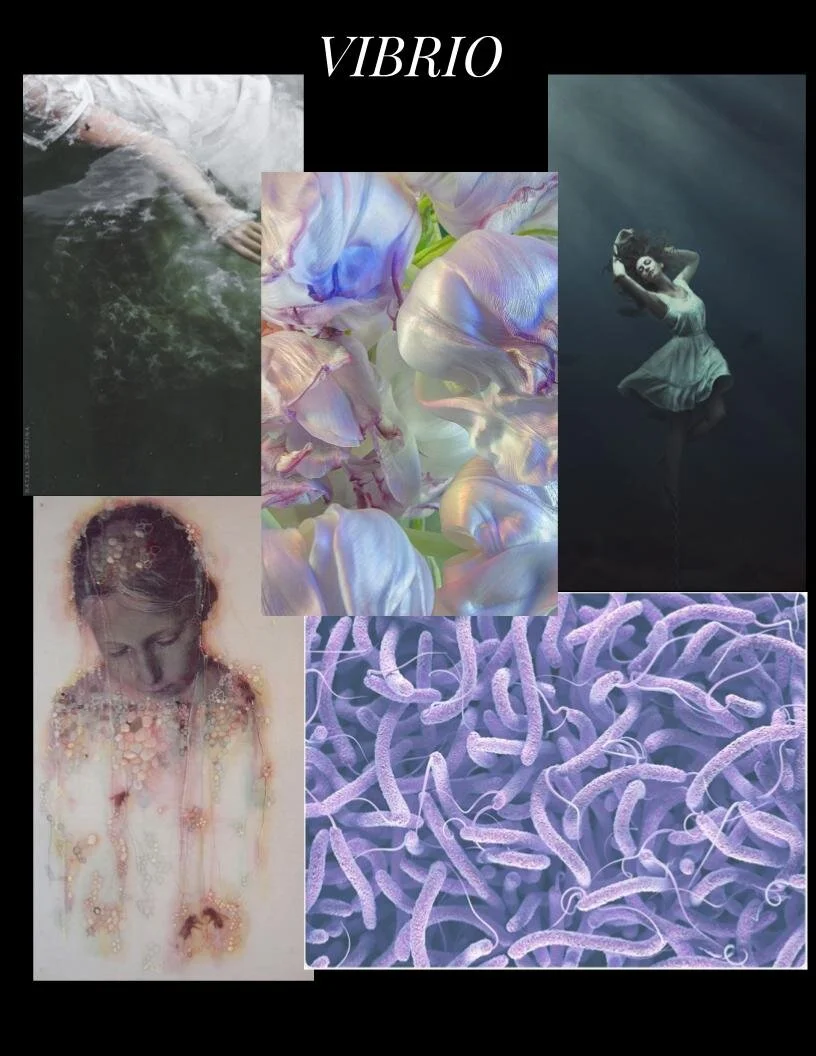 Dance Concert Mood_Inspiration Boards .jpg