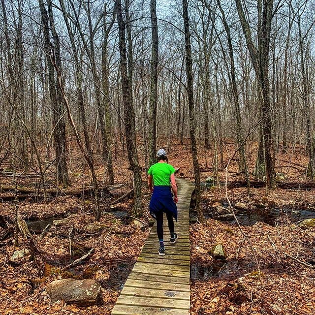 One of our favorite sections of the Midstate Trail so far is this Douglas section. We saw one person the whole day. If you haven&rsquo;t yet, buy my book at the link here. All author royalties go to covid-19 relief. https://amzn.to/37srs07