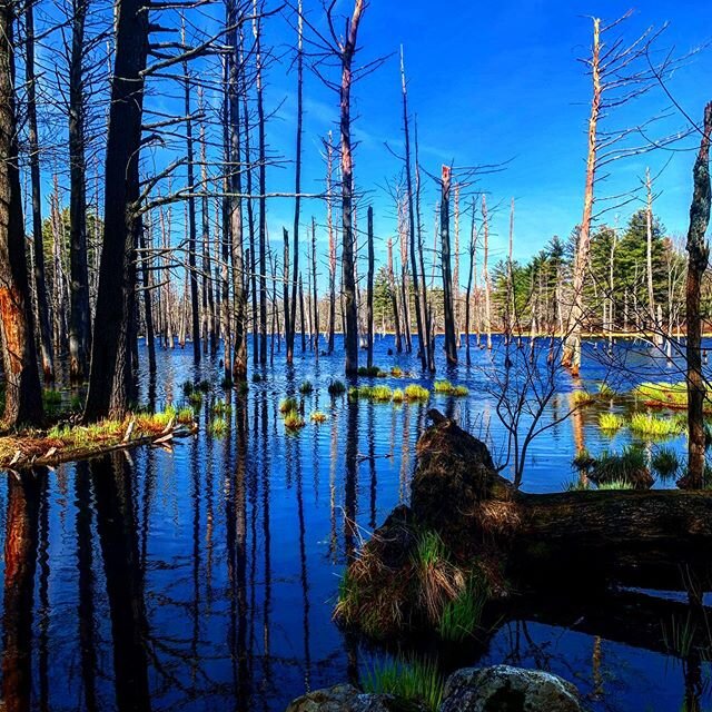 Sunday&rsquo;s iteration of the Midstate Trail did not disappoint! If you haven&rsquo;t picked up my book yet, you have few weeks left to do where all author proceeds go to covid-19 relief! https://amzn.to/37srs07
