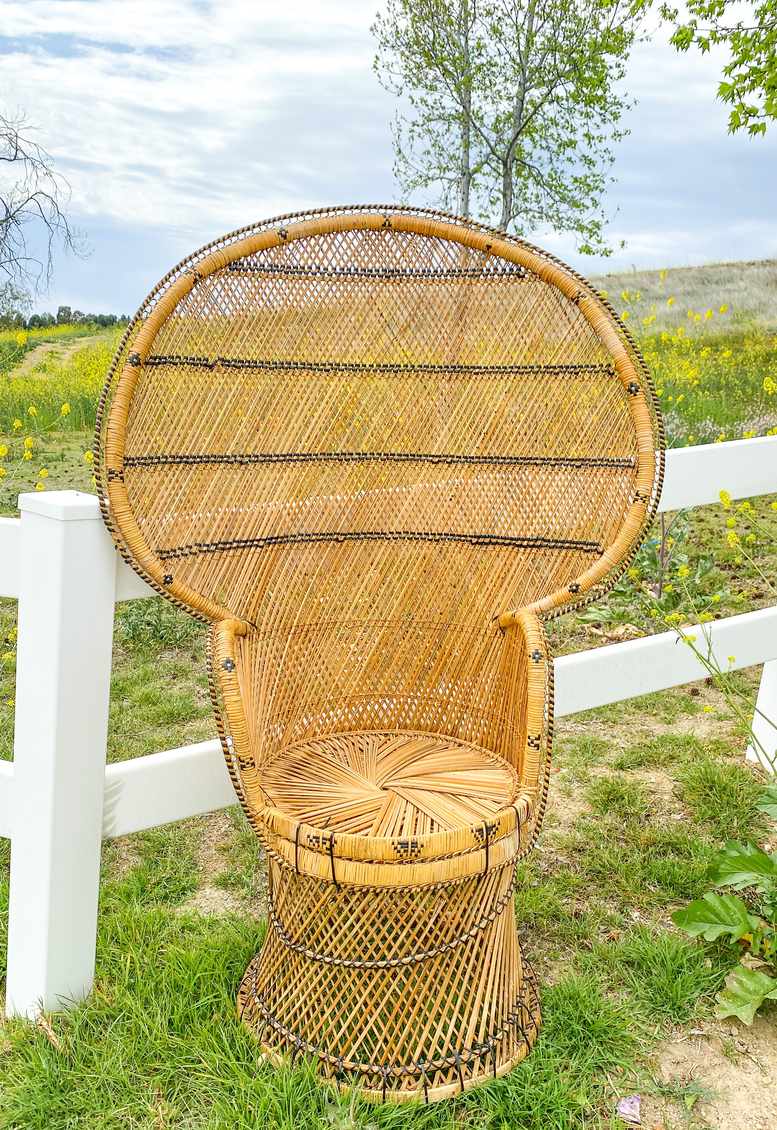 Vintage Peacock Chair $100
