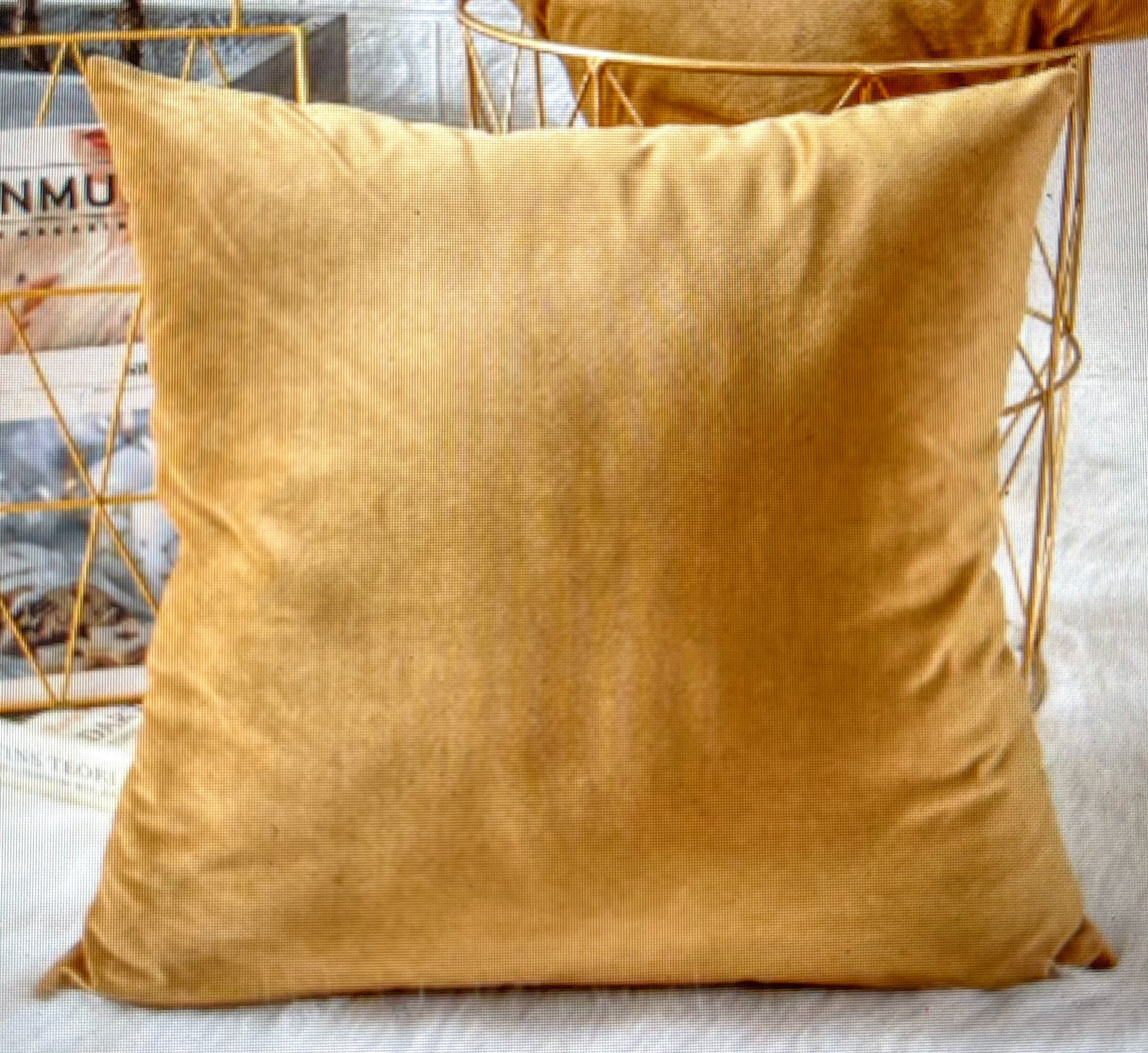 Gold Pillow $5