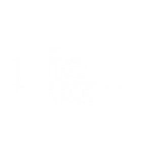 2 EffieAwards LOGO.png