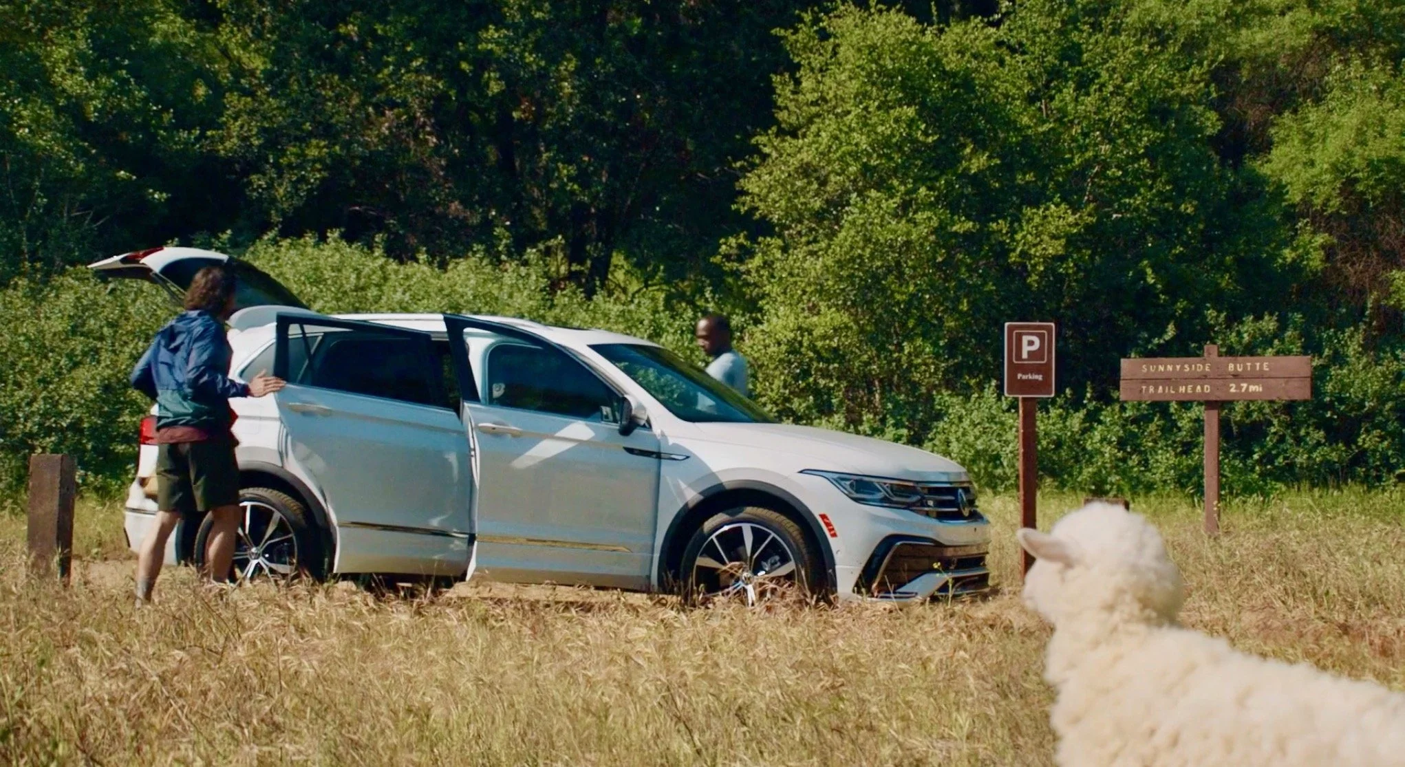 Volkswagen "Sheep" :30
