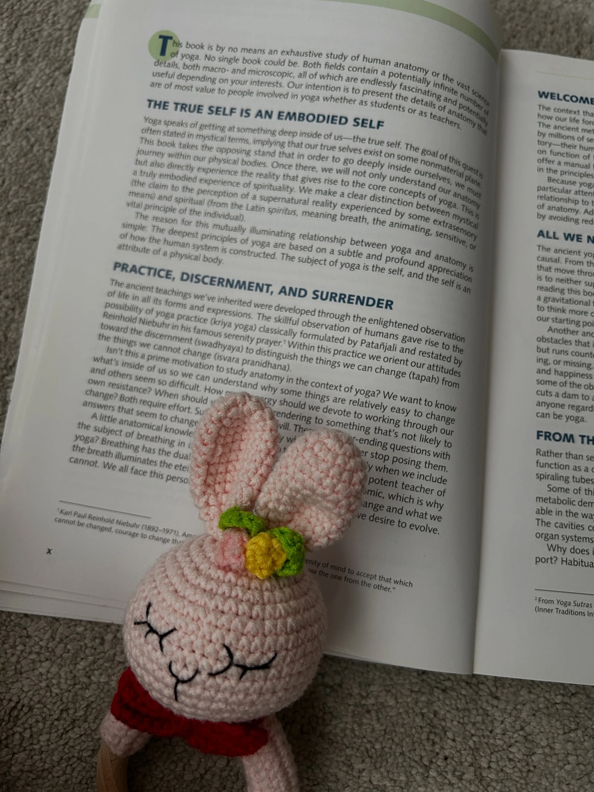 Today&rsquo;s practice: sneaking in some reading. A newborn can learn about embodiment instead of animal sounds, why not? 🤭