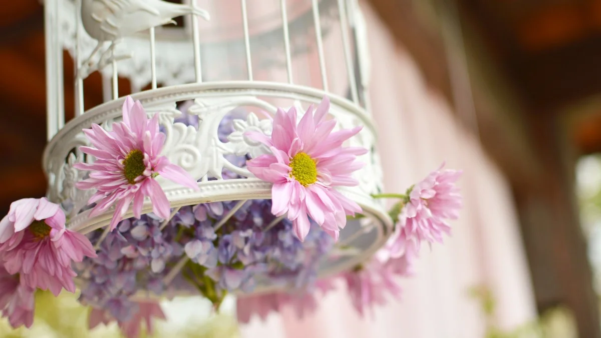 Spring Home Checklist