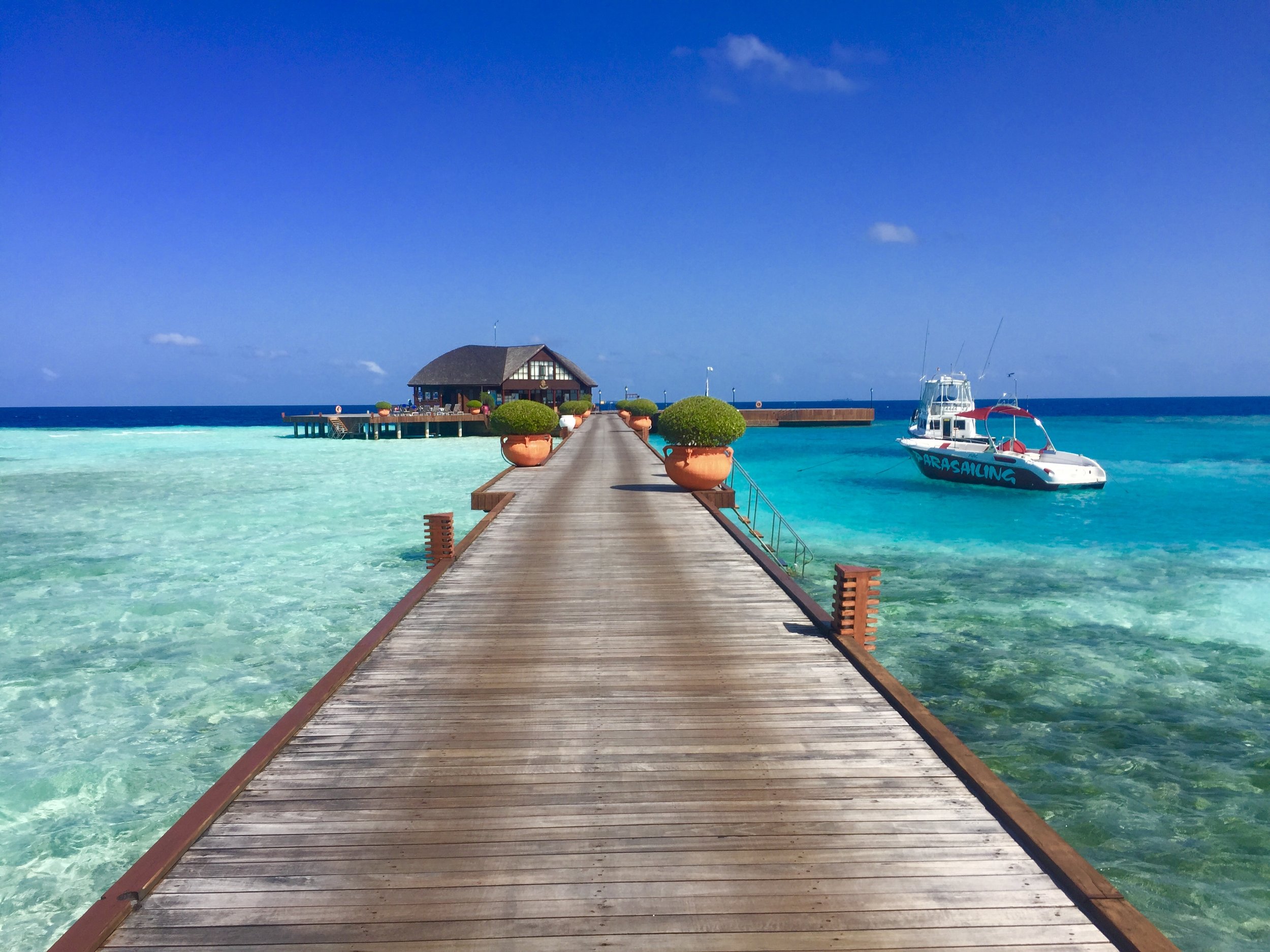 Summer Abroad: Where Americans Can Travel