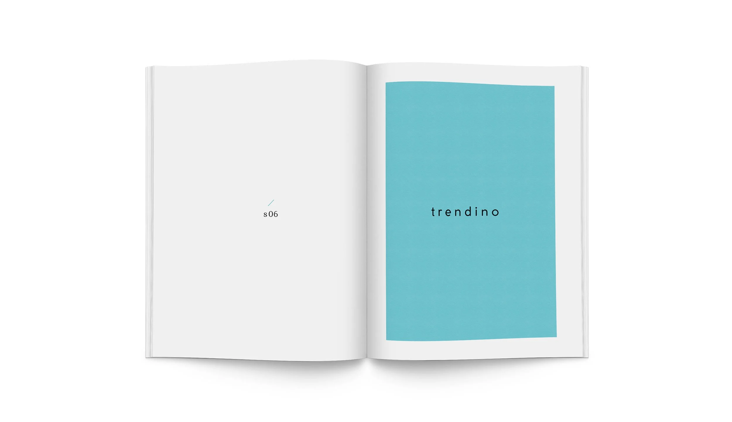 br_print_veriset_brochure004.jpg
