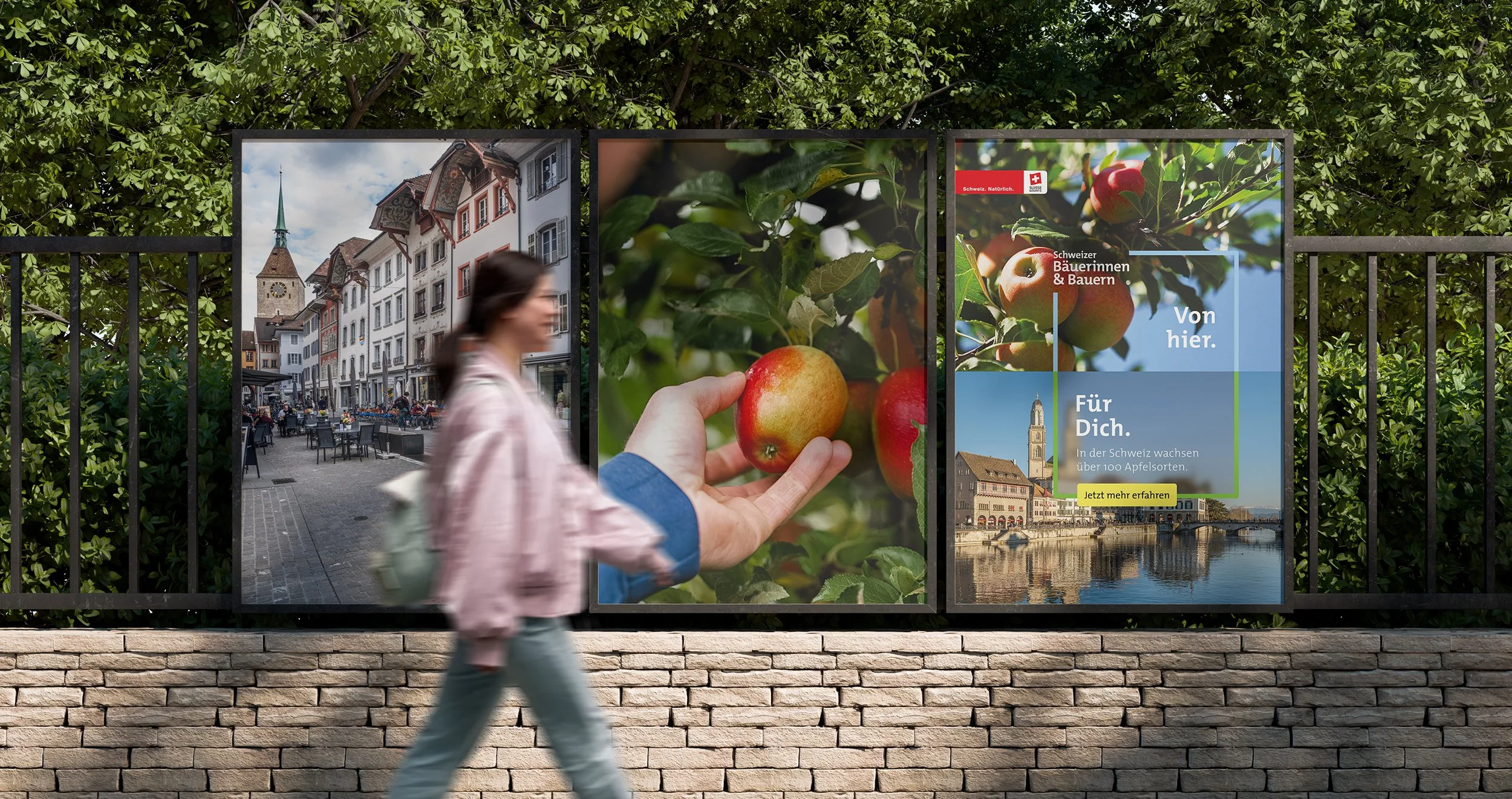 Schweizer Bauern — Branding