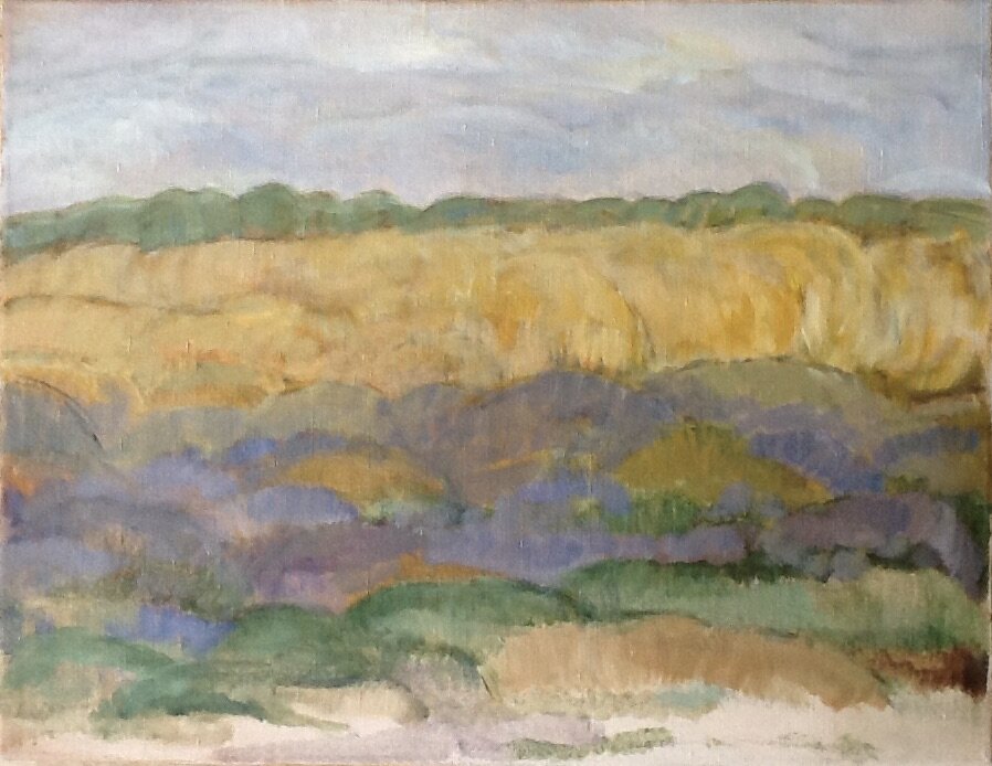 De Regte Heide bij Goirle (olieverf 50x65 cm)