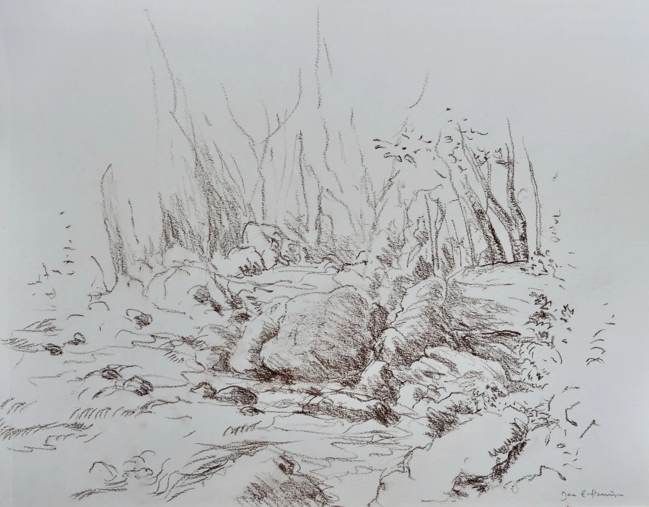Rocks and trees alongside a mountain stream (brown crayon 30 x 40 cm).