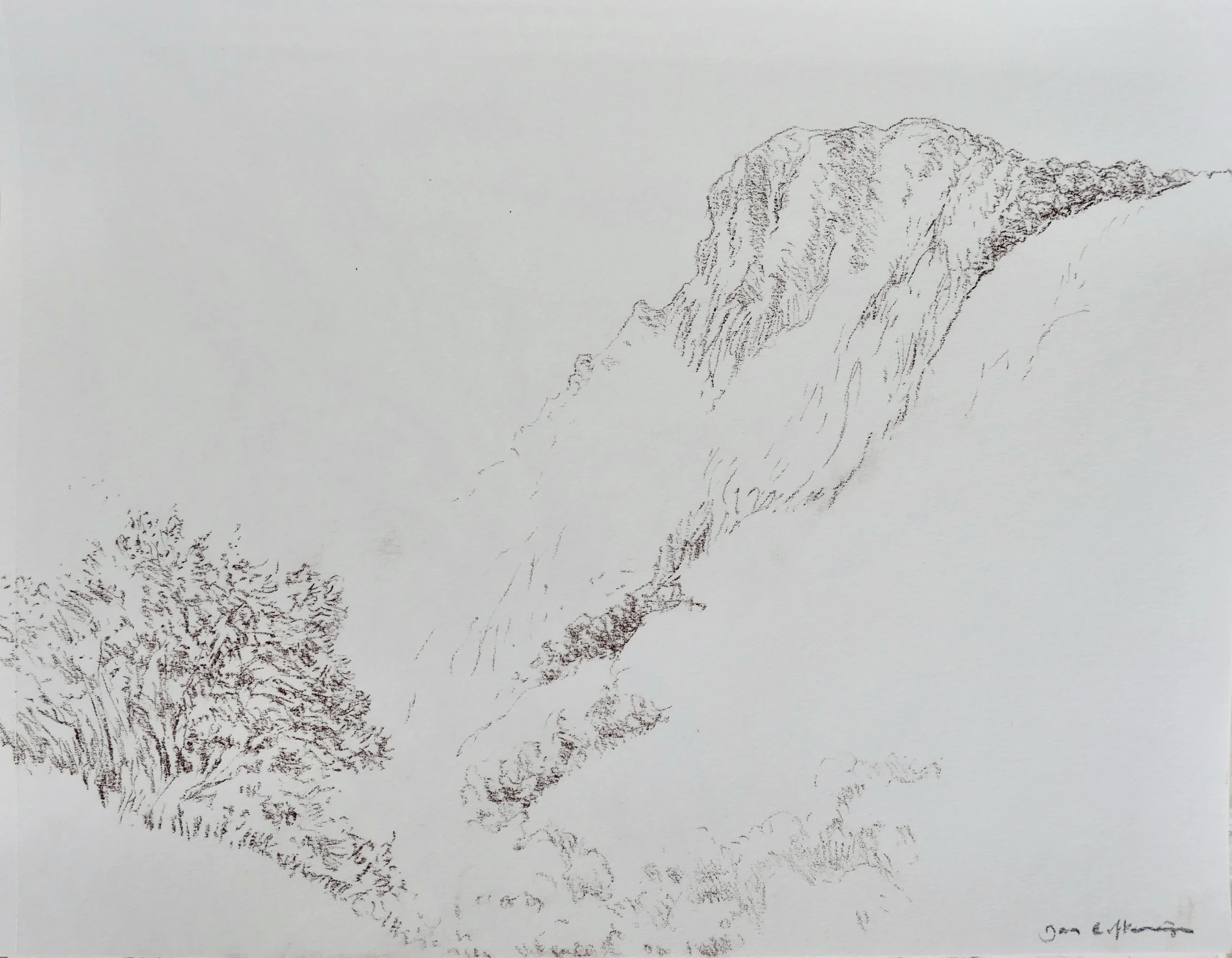 Study of a rock and vegetation (brown crayon 30 x 40 cm)