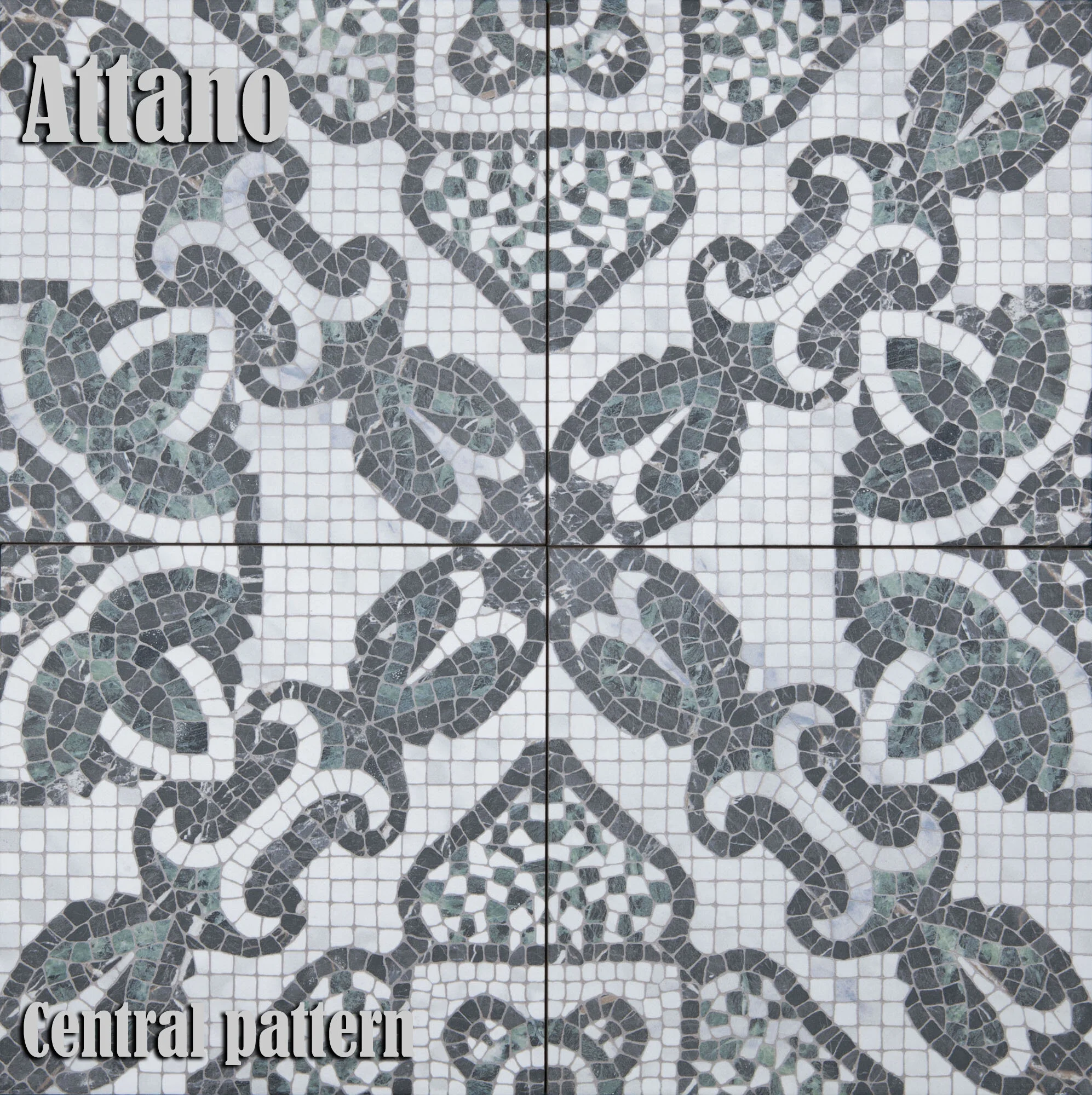 Versailles Attano 1 named.jpg