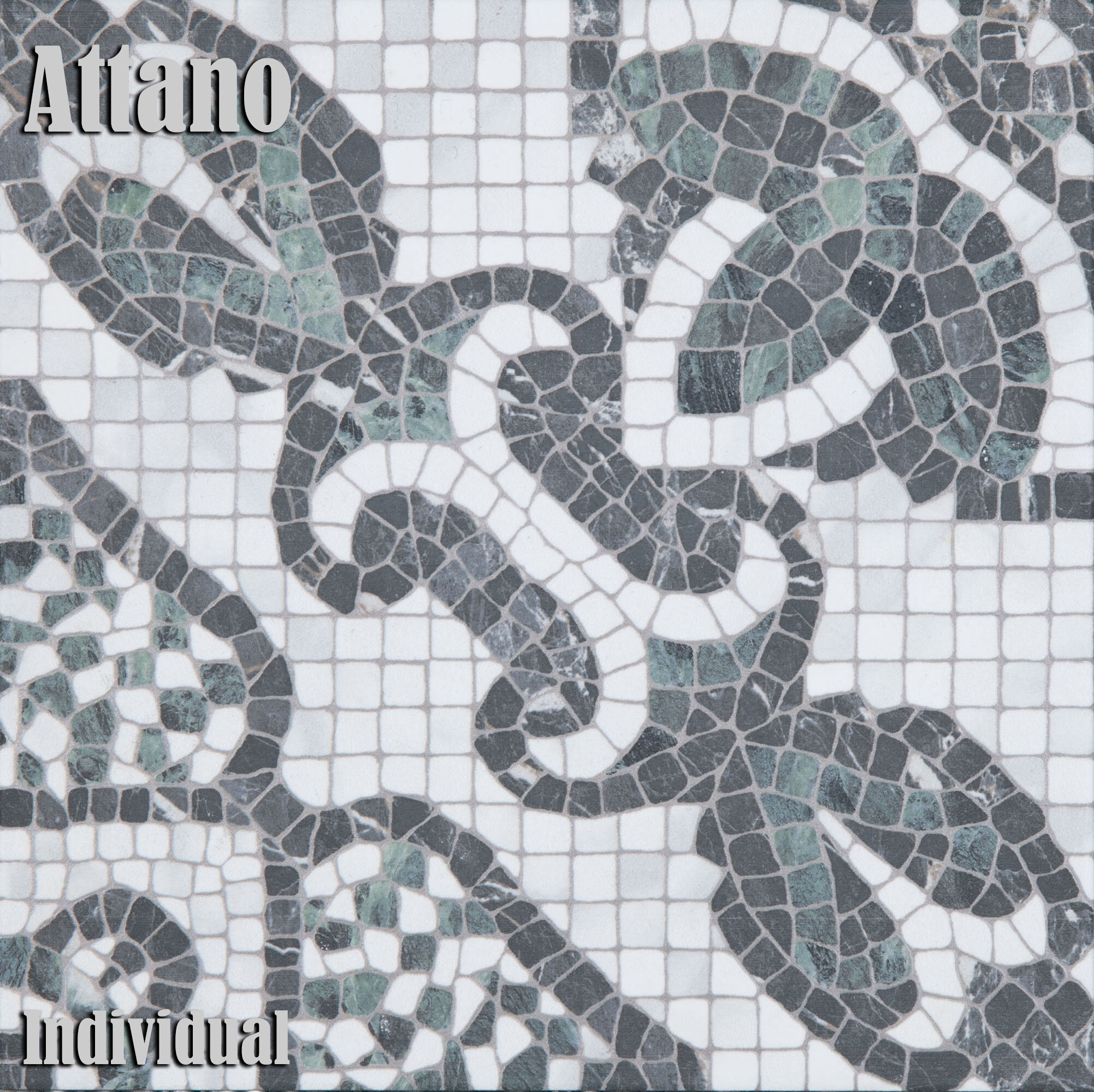 Versailles Attano named.jpg