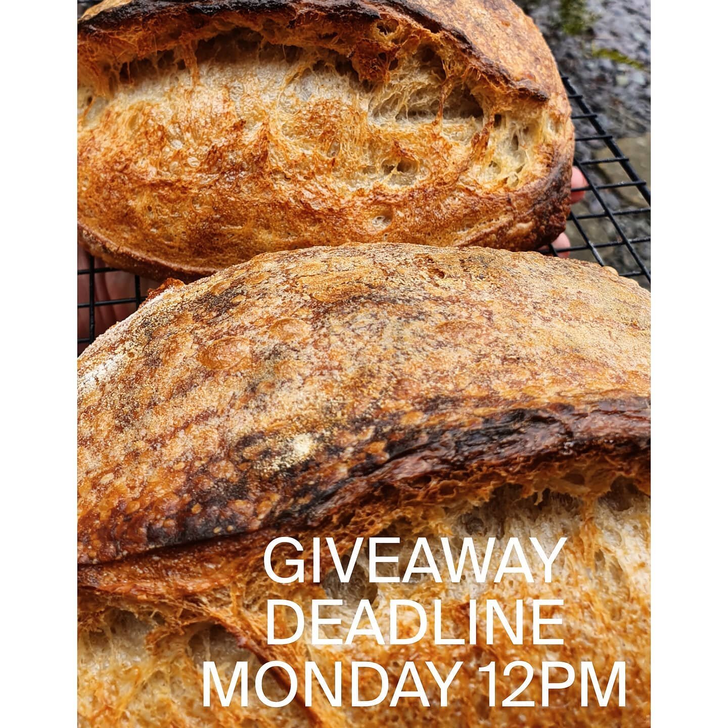 I'll be back delivering fresh sourdough next Saturday! 

There's still time to enter my giveaway! Deadline is Monday @ 12PM. 

Add this post to your story, and leave a comment letting me know something you'd like to see on my menu. A lucky winner wil