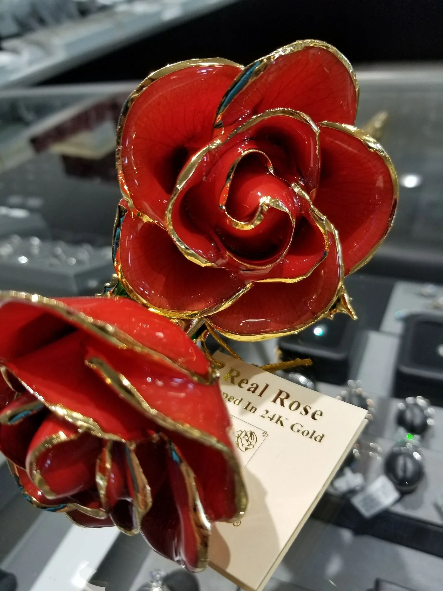 rose red.jpg