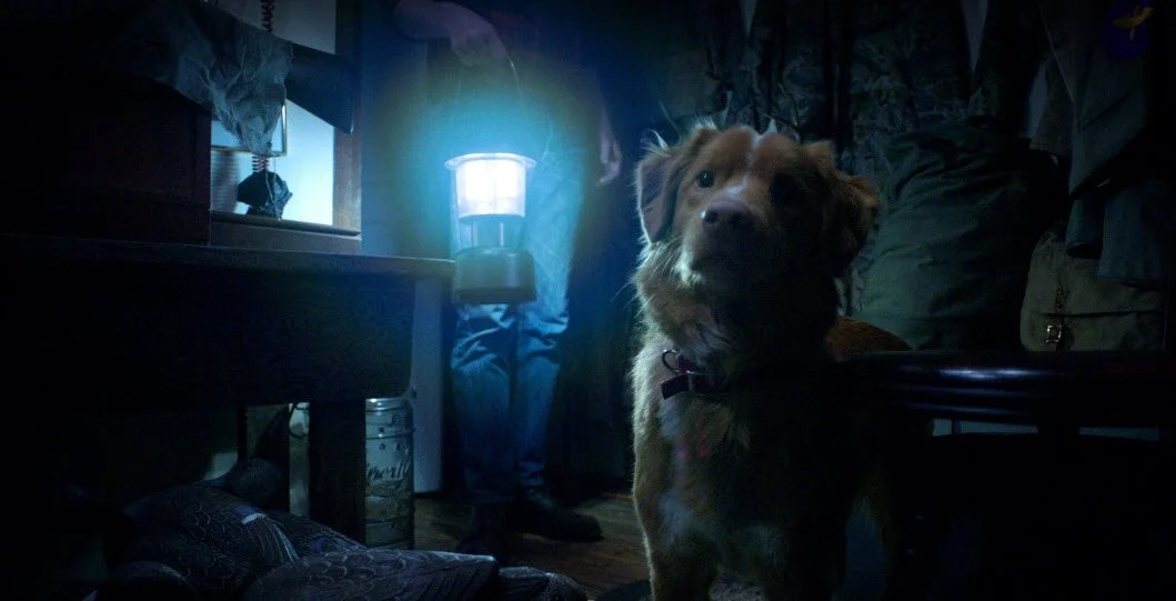 Good Boy (2025) | Dogs Are the Best