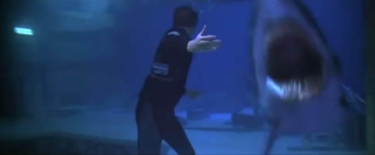 Deep Blue Sea 1999 Sharks