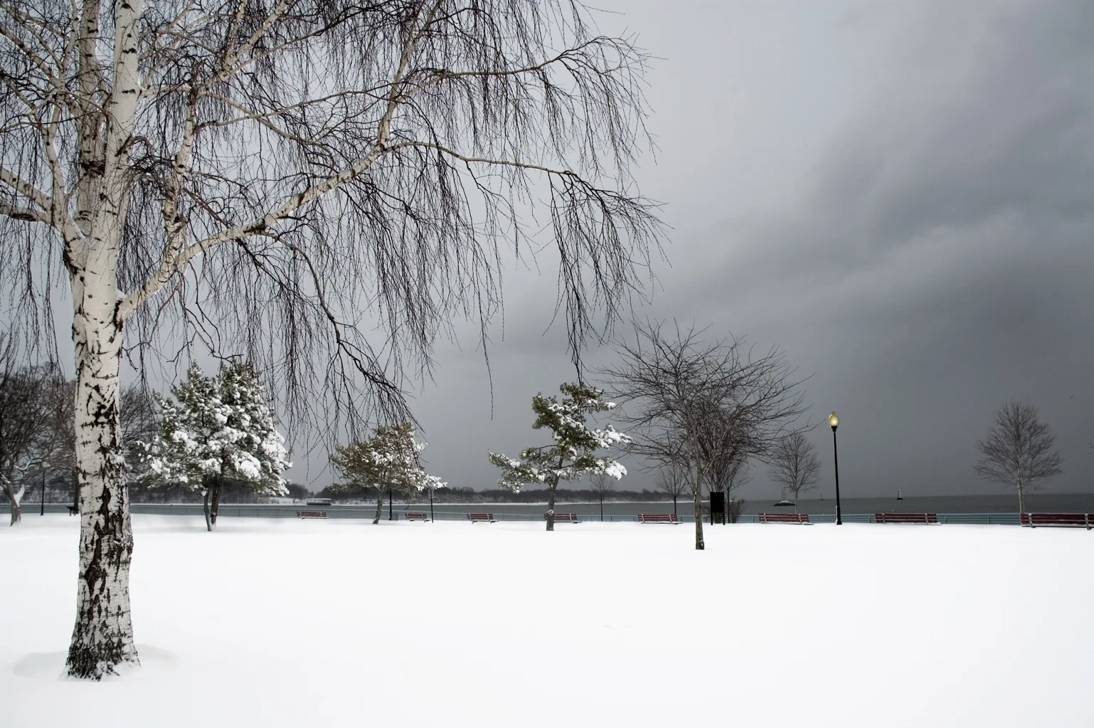 Snowy-Trees-@Waterfront-CB.jpg
