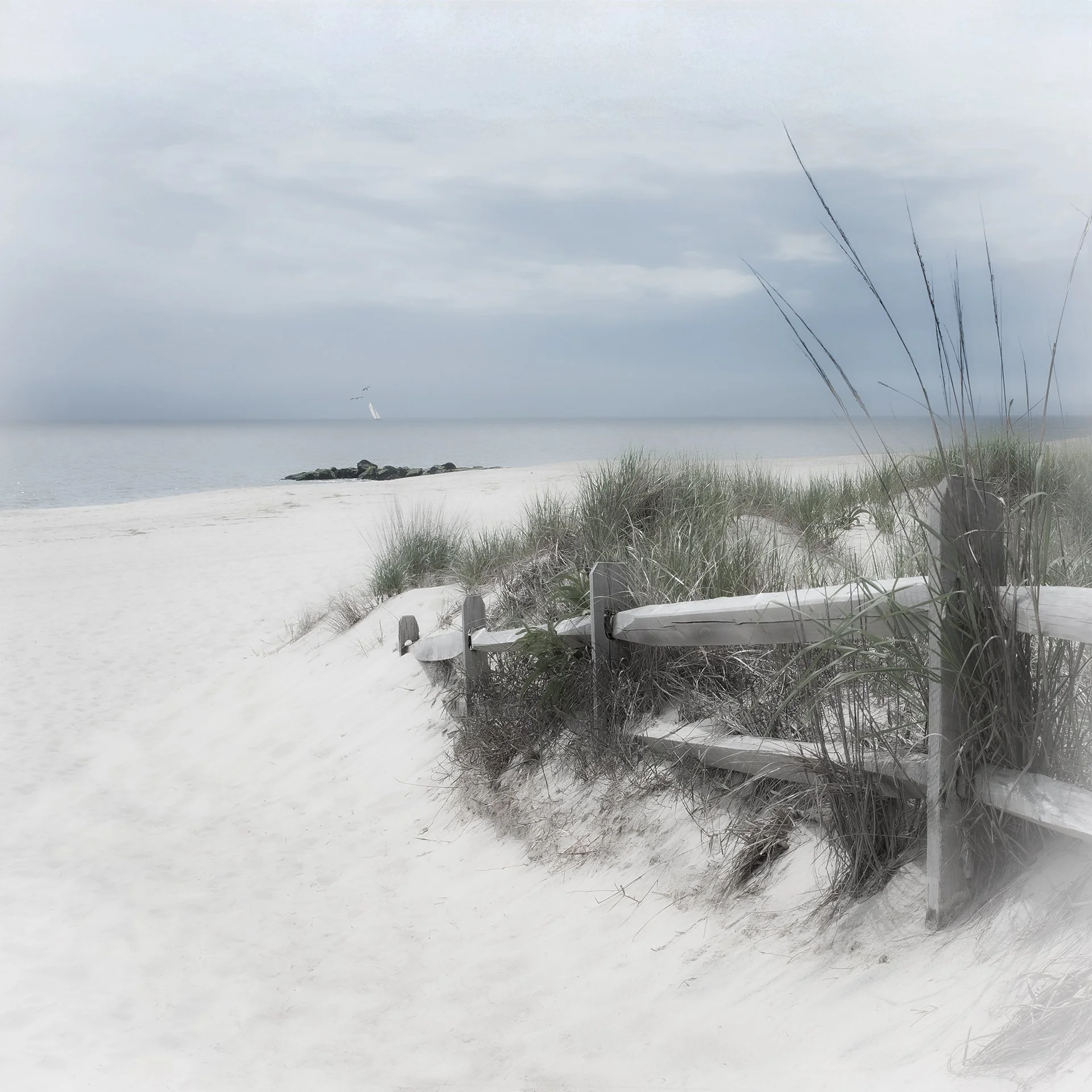 FOLLOW THE FENCE_18X18.jpg