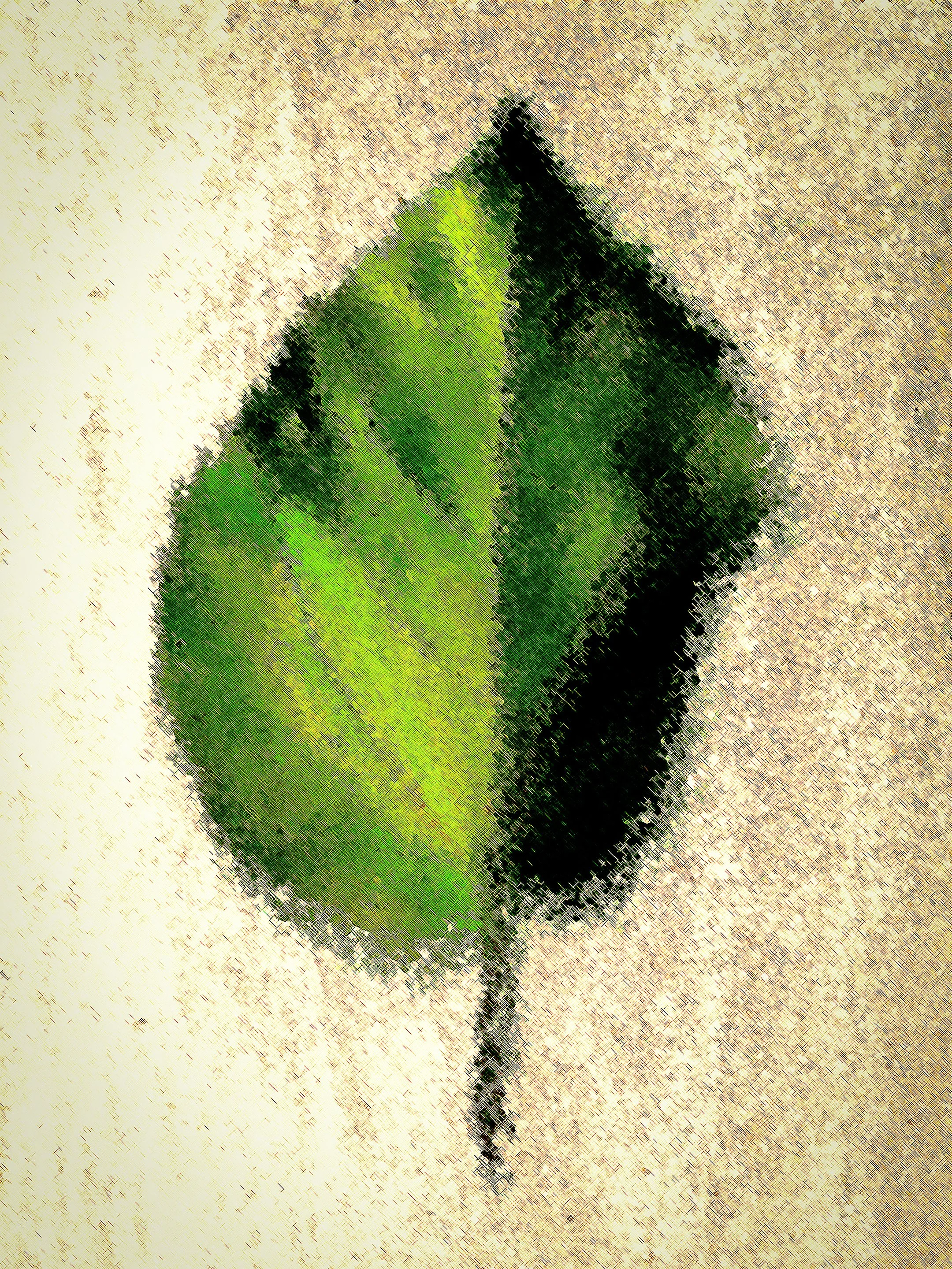 Leaf_number_1.jpg