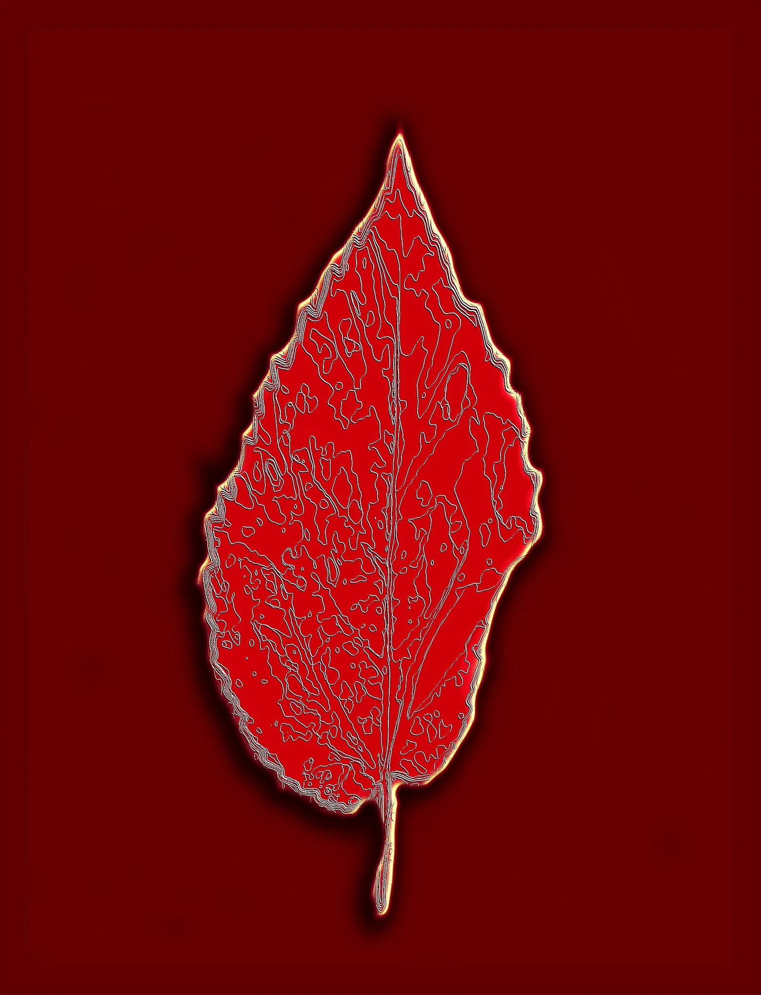 Leaf-ART-Red1_version2_26x32.jpg