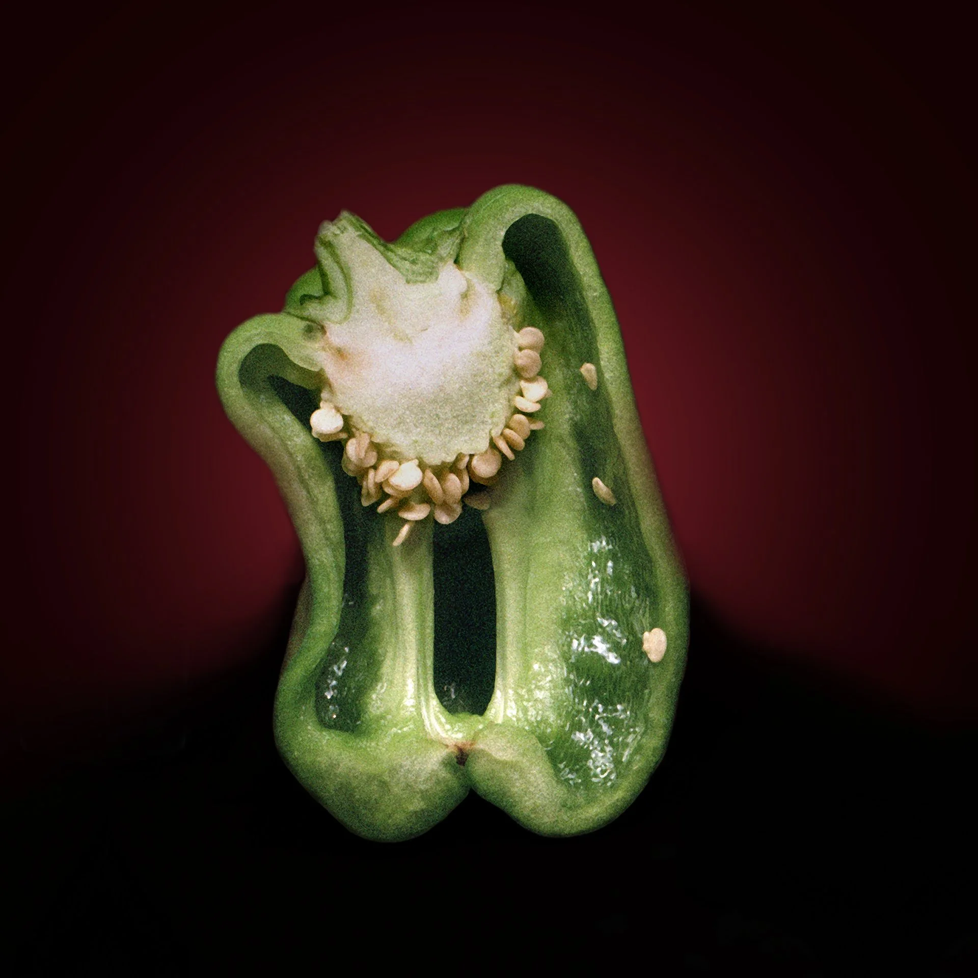 Pepper#9-20x20 .jpg