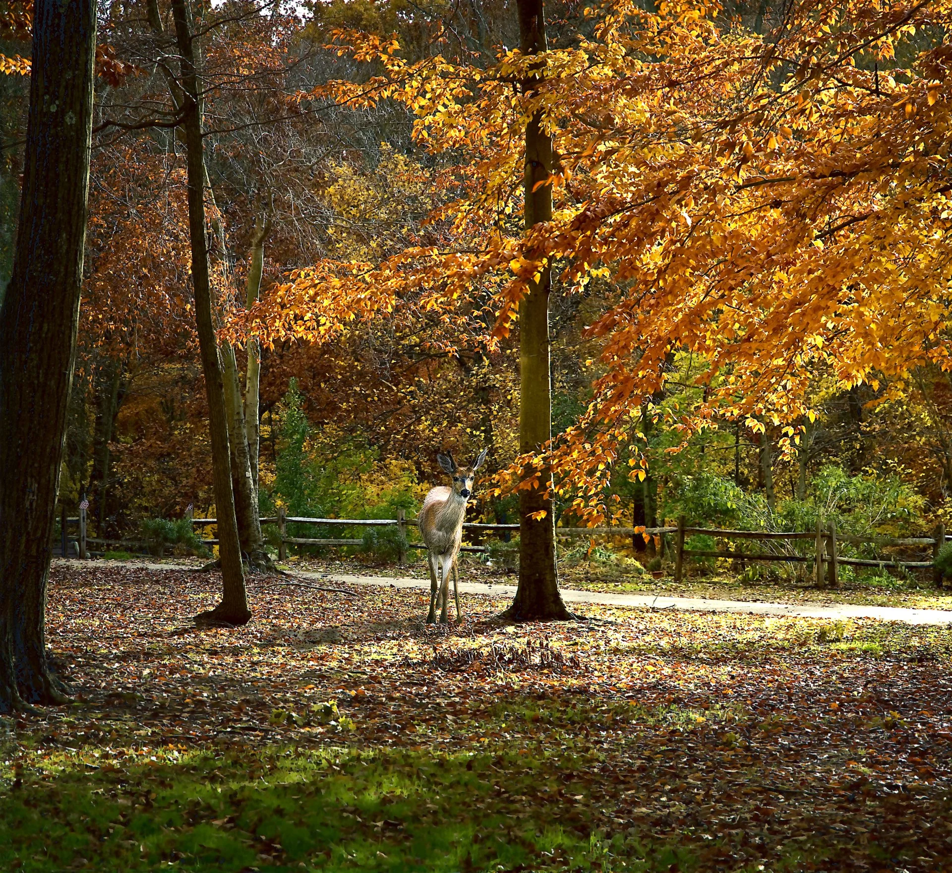 One Fine Day_20x20.jpg