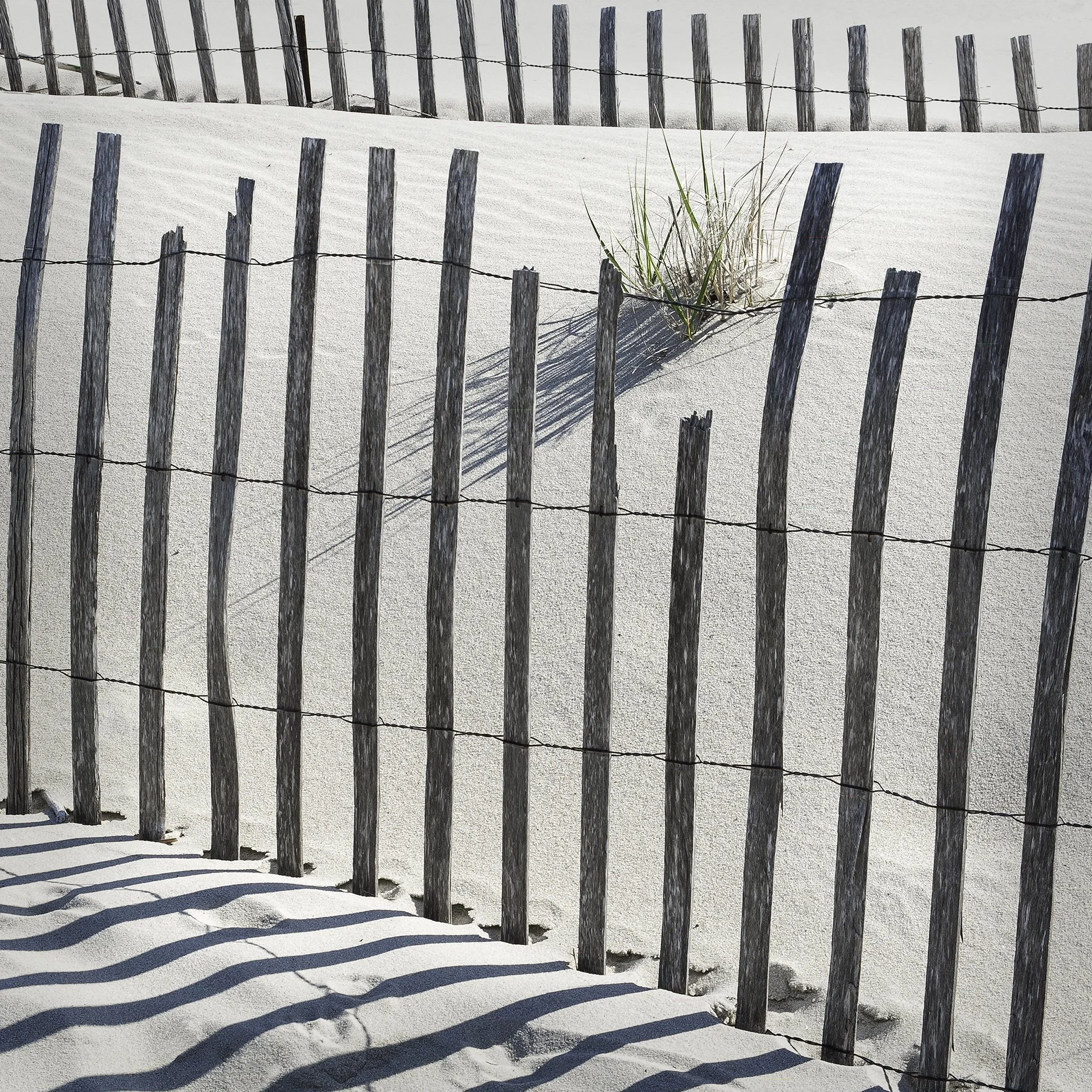 PICKETS IN THE SAND_20X20.jpg