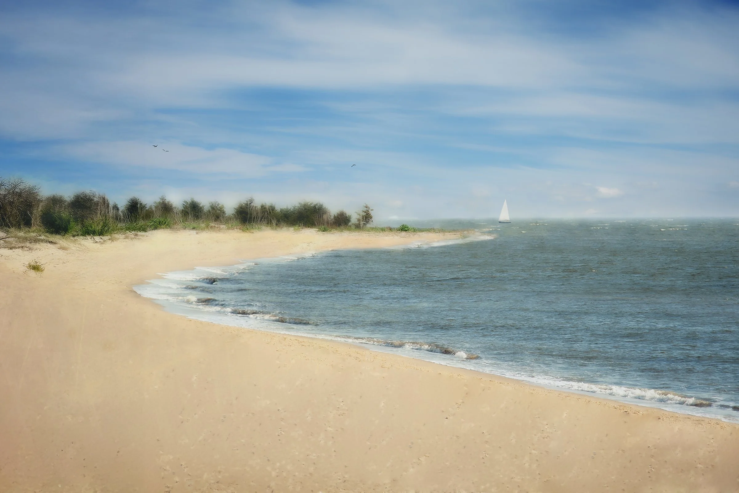 Sand, Sun, Surf, Sail.jpg