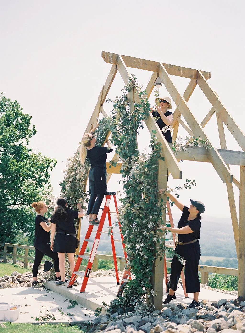 Learning From the Past to Better my Business