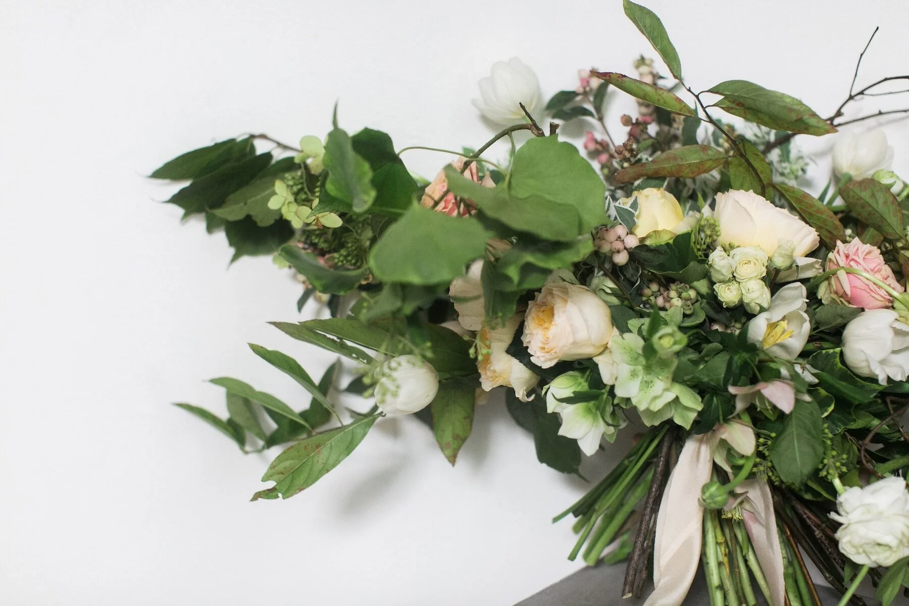 One on One with Amy Osaba