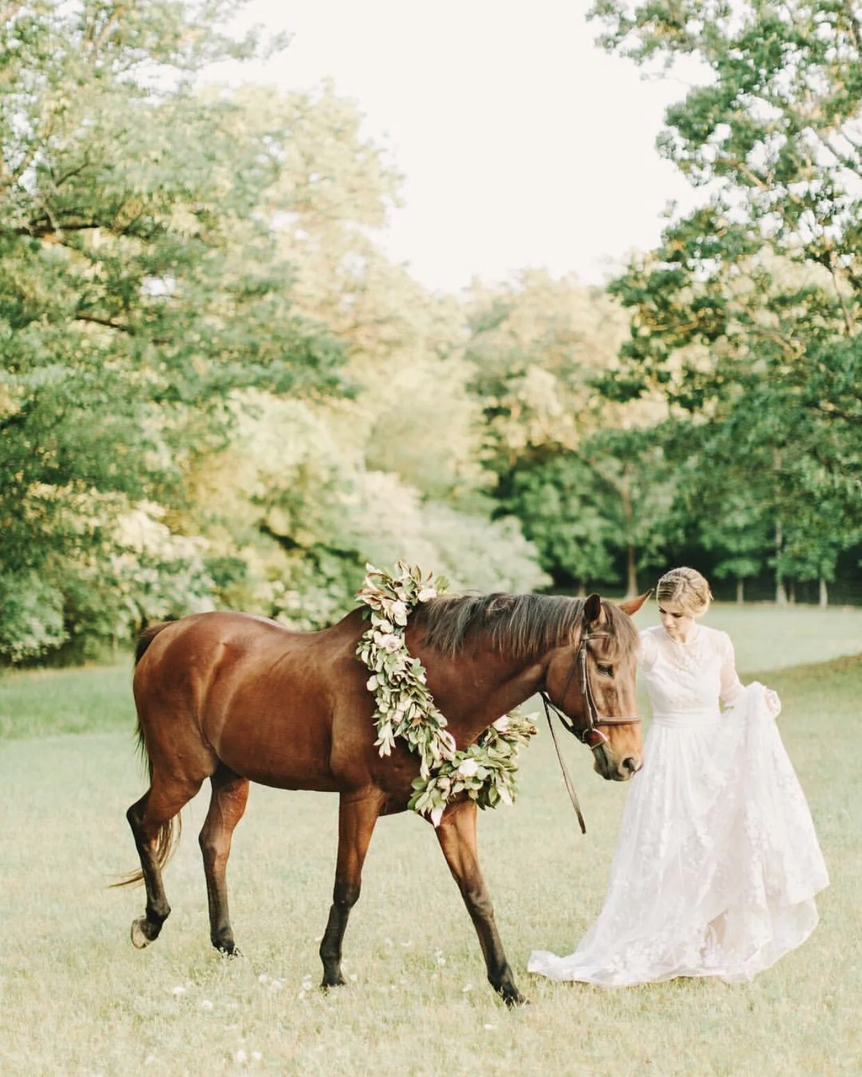 Horse Bridal Portraits