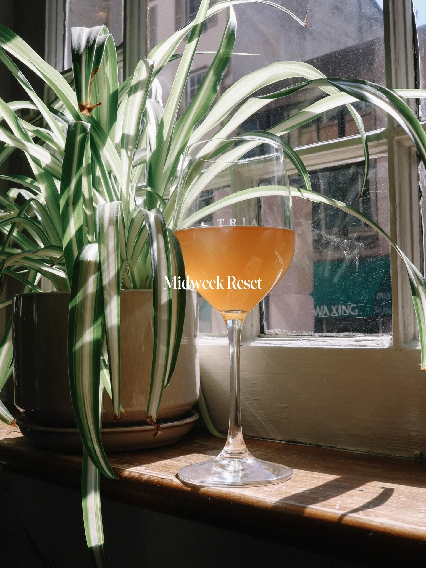 It&rsquo;s time for your midweek reset.
Stop down for happy hour from 2-6pm.

#phillyhappyhour #phillywine #phillyfood