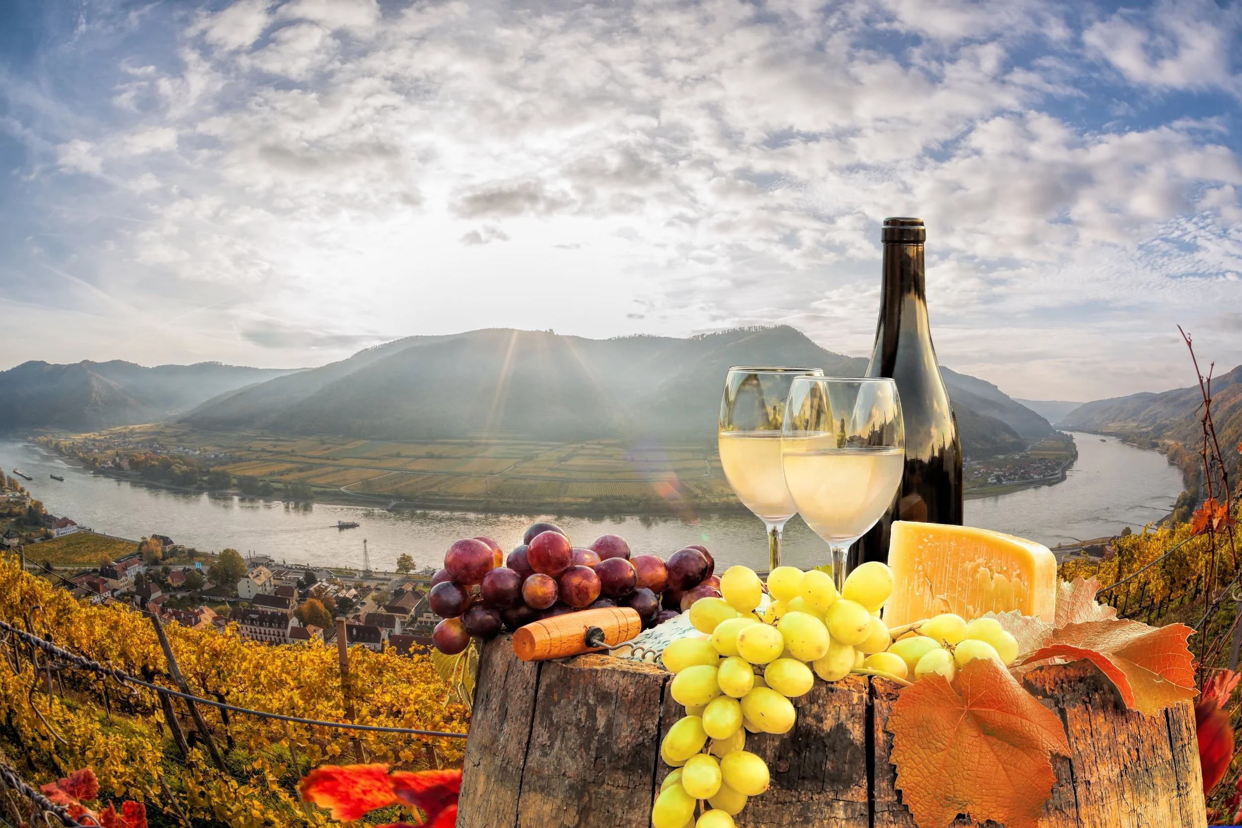 Wine and CHeese Overlooking Alps