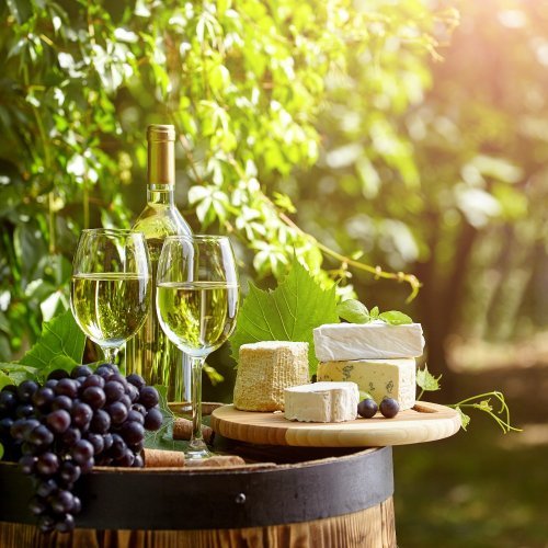 Wine and Cheese Pairing at Tria's Spring Garden Party