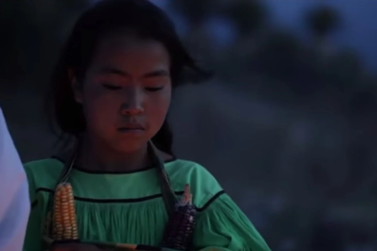 El Ruiseñor y la Noche, Chavela Vargas canta a Lorca