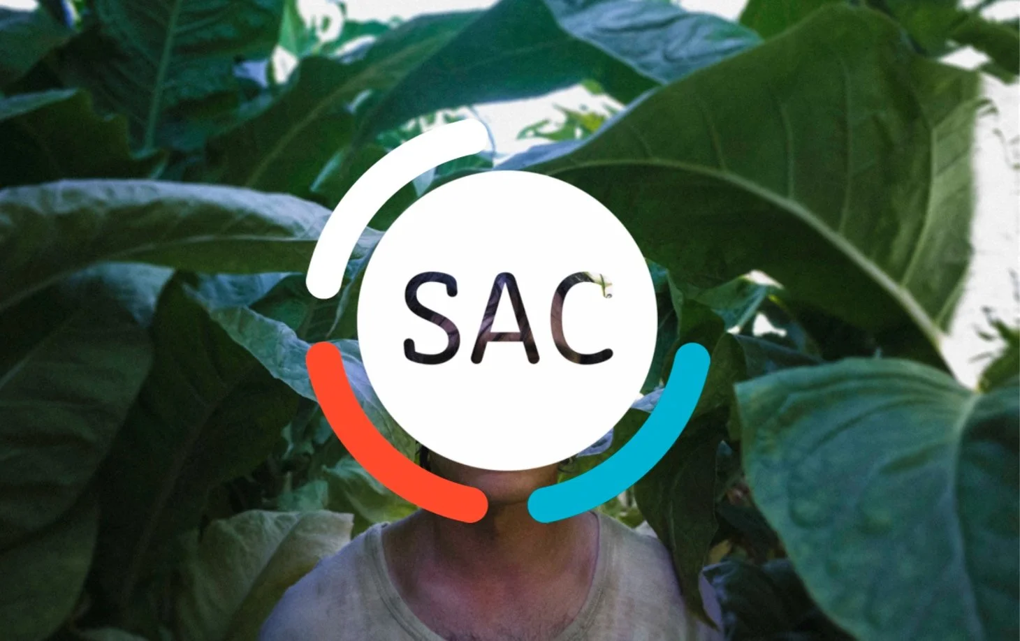 Seminario de Apreciación Cinematográfica