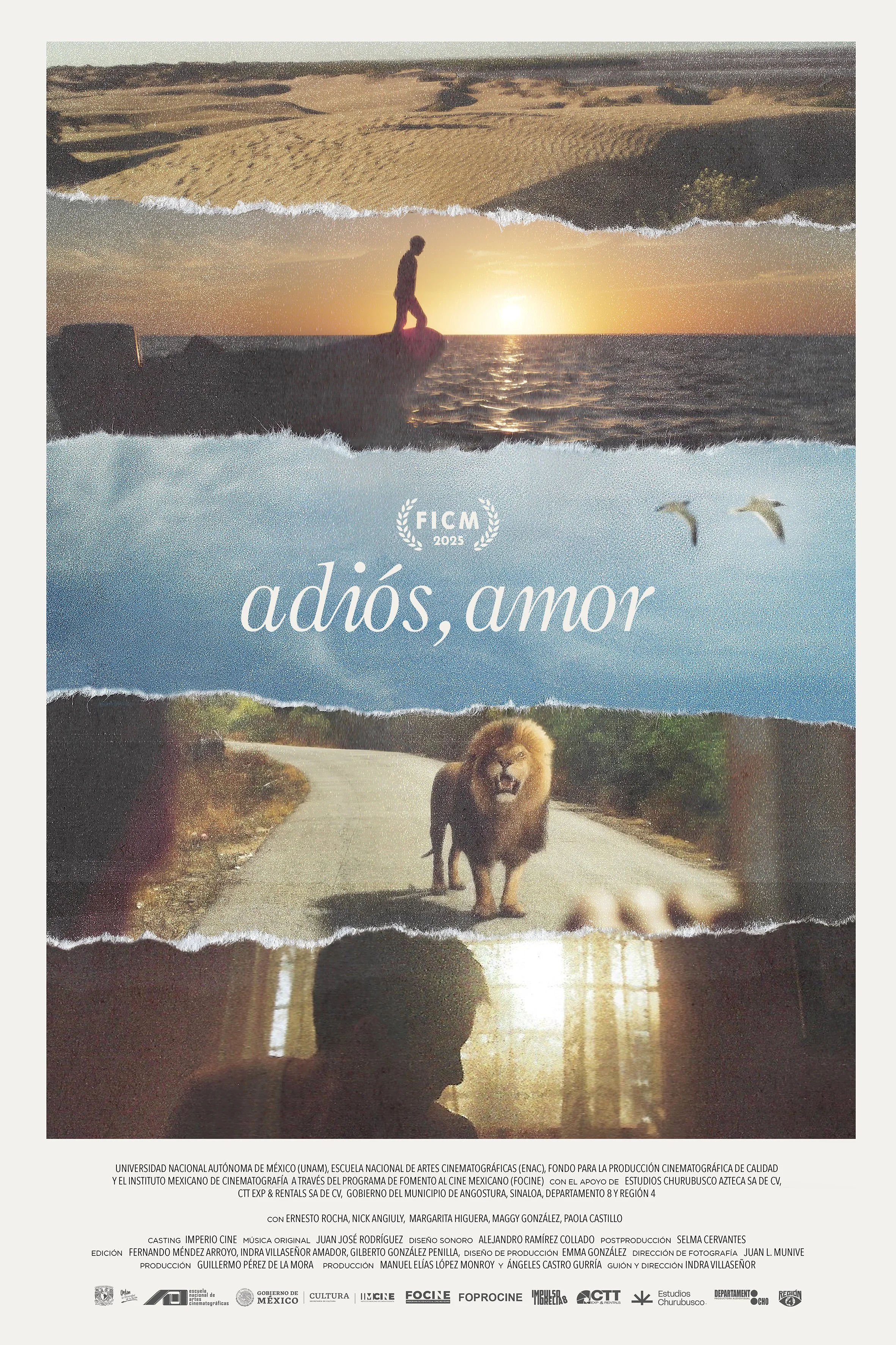 Adiós Amor, entrevista con la directora Indra Villaseñor