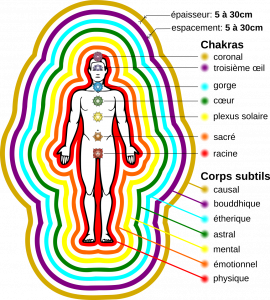 schemadelanatomieenergetique270x300.png