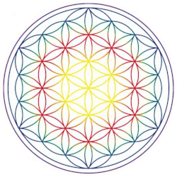 Radionique-Ondes-de-formes-250x250.png