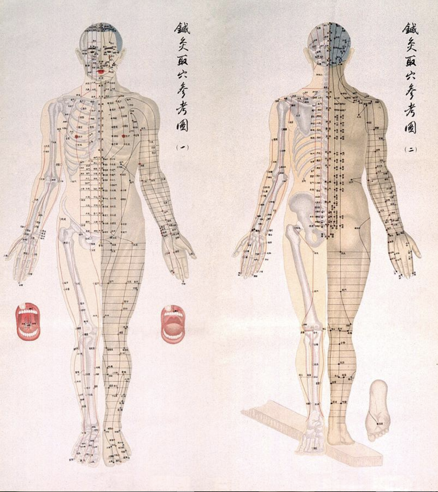 Screen Shot 2019-08-15 at 9.46.12 AM.png